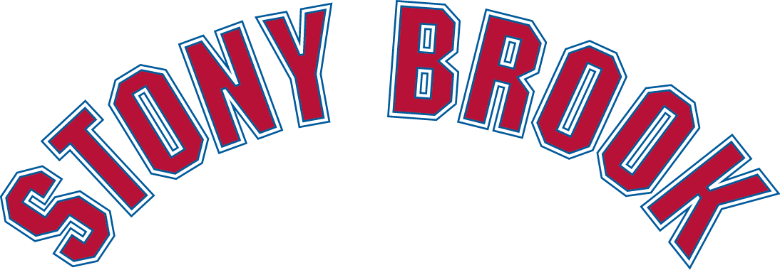 Stony Brook Seawolves 2008-Pres Wordmark Logo v2 diy iron on heat transfer